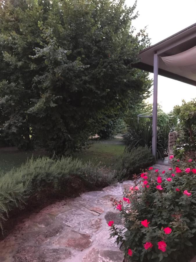 Ca' Borgo Delle Rane Hotell Pernumia Exteriör bild